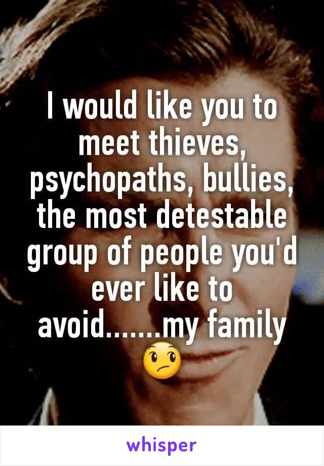 I would like you to meet thieves, psychopaths, bullies, the most detestable group of people you'd ever like to avoid.......my family 😞