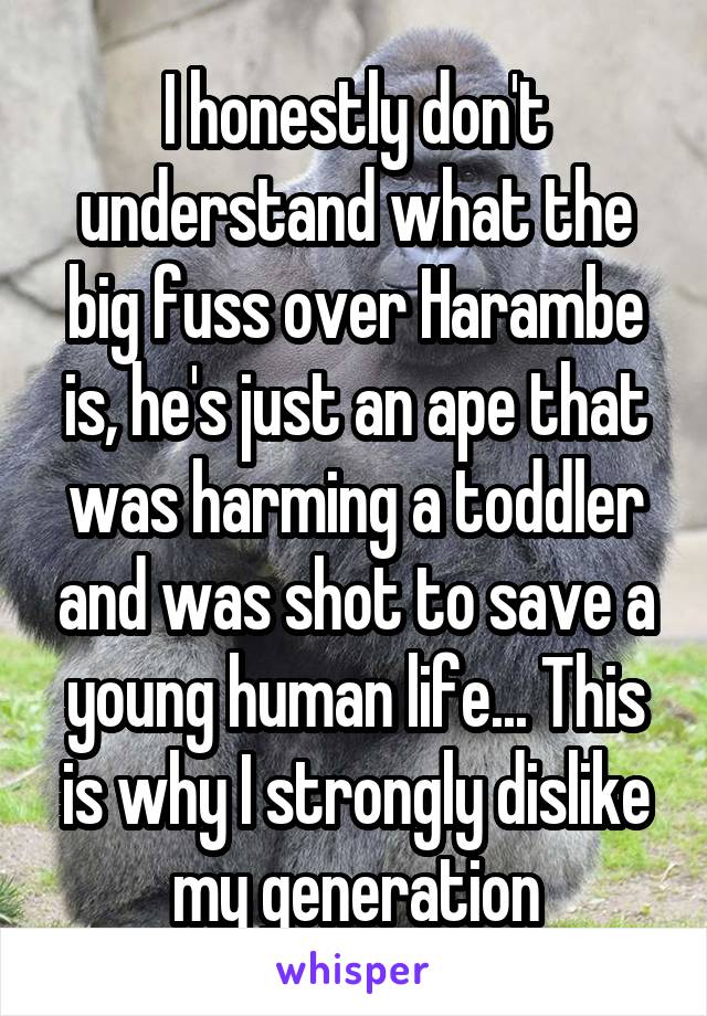 I honestly don't understand what the big fuss over Harambe is, he's just an ape that was harming a toddler and was shot to save a young human life... This is why I strongly dislike my generation