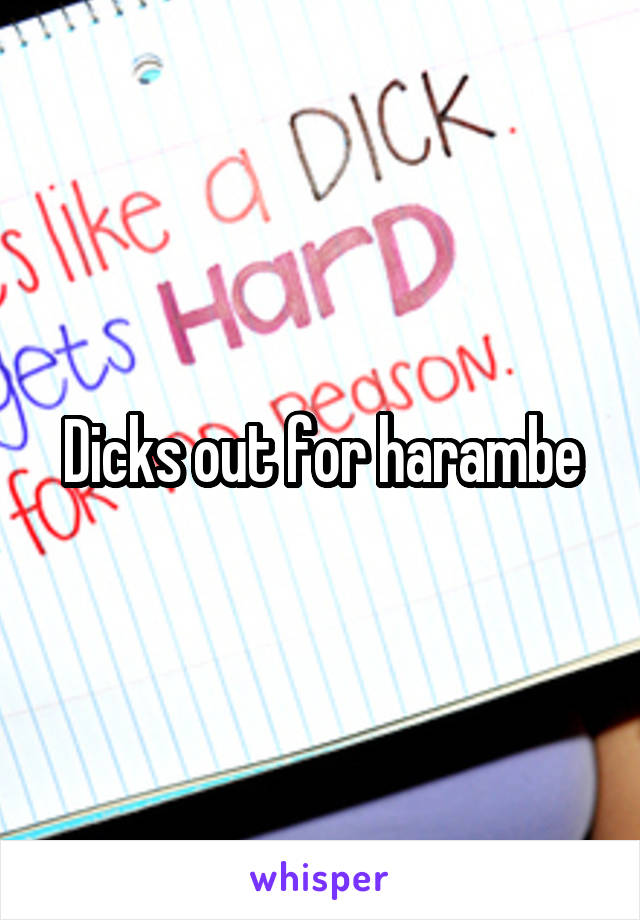 Dicks out for harambe