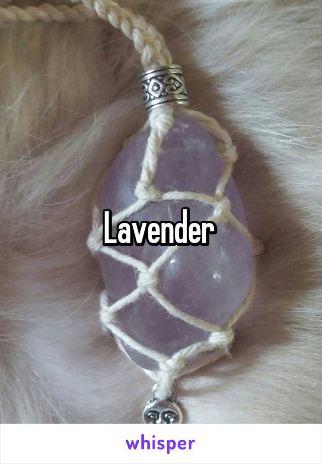 Lavender 