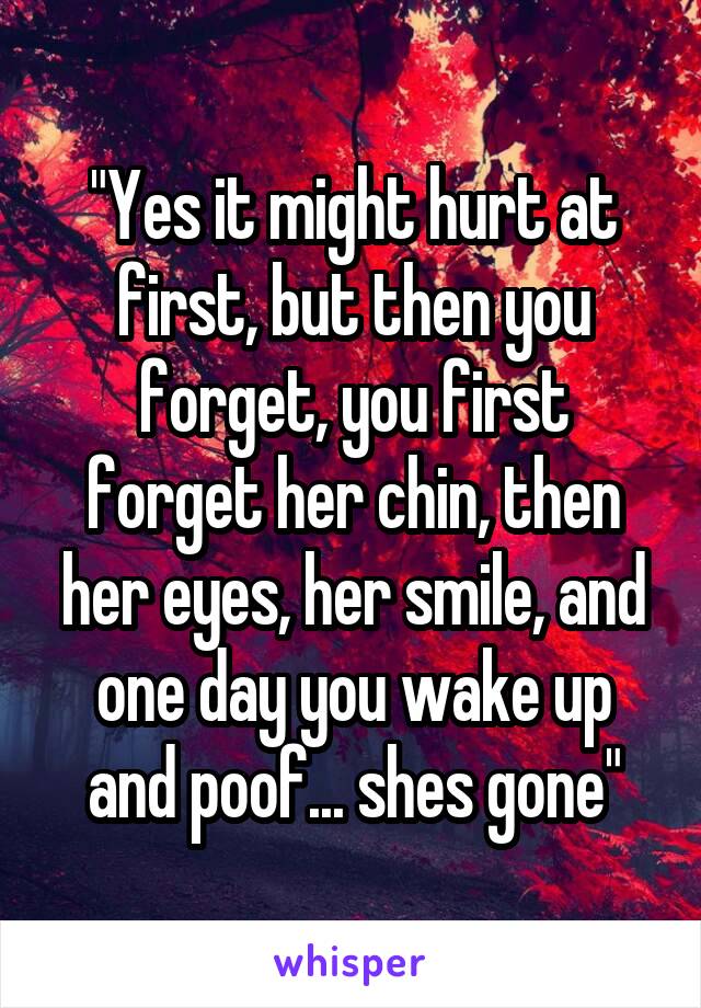 "Yes it might hurt at first, but then you forget, you first forget her chin, then her eyes, her smile, and one day you wake up and poof... shes gone"