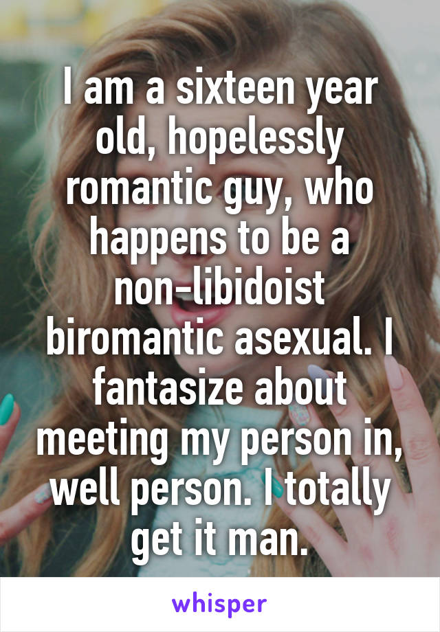 I am a sixteen year old, hopelessly romantic guy, who happens to be a non-libidoist biromantic asexual. I fantasize about meeting my person in, well person. I totally get it man.