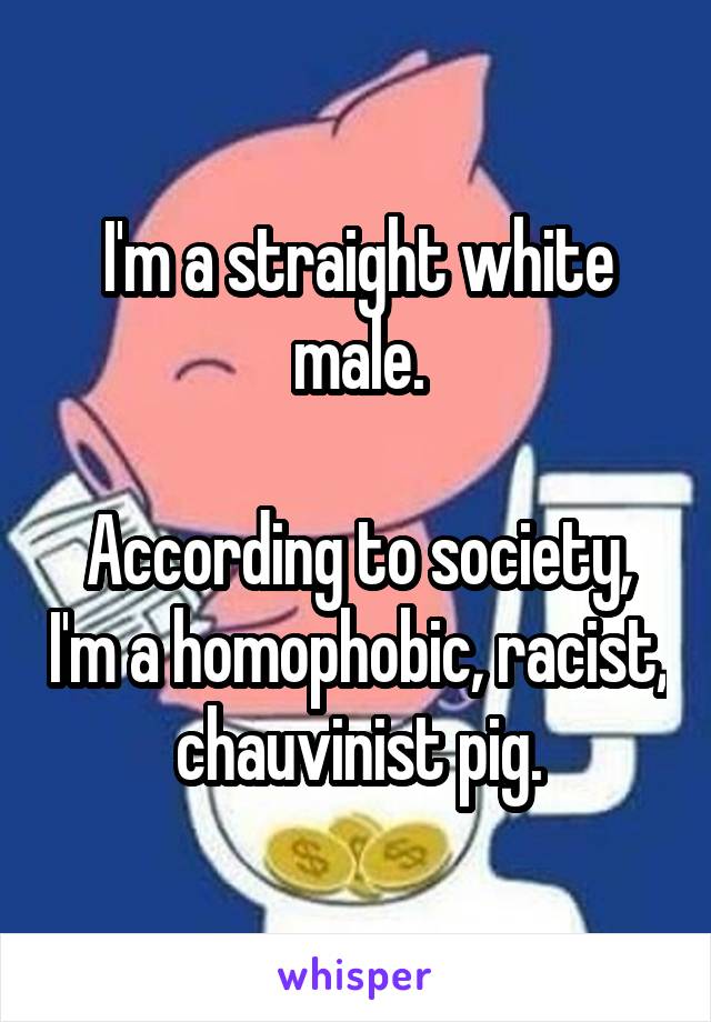 I'm a straight white male.

According to society, I'm a homophobic, racist, chauvinist pig.