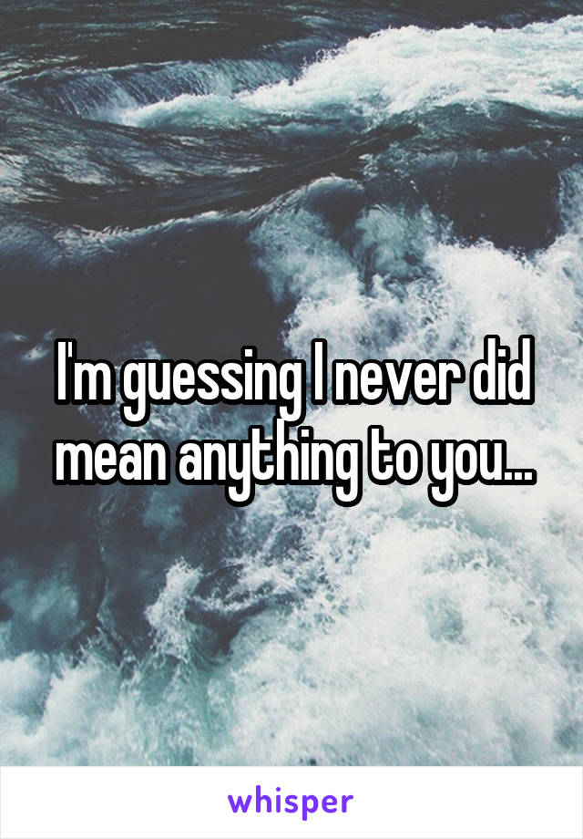 I'm guessing I never did mean anything to you...