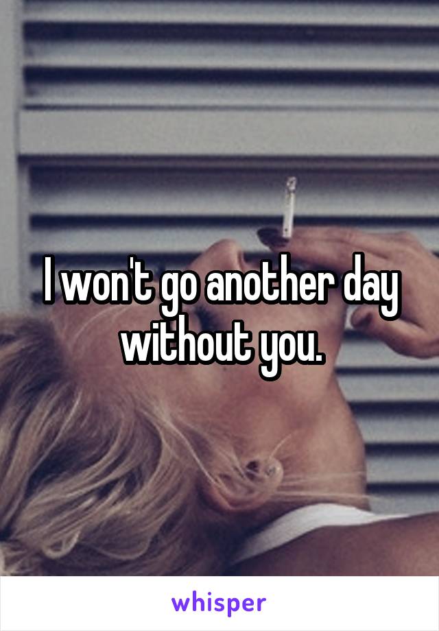 I won't go another day without you.