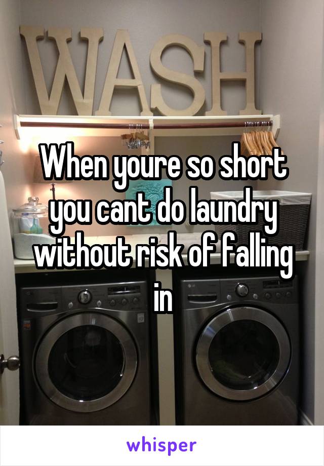 When youre so short you cant do laundry without risk of falling in