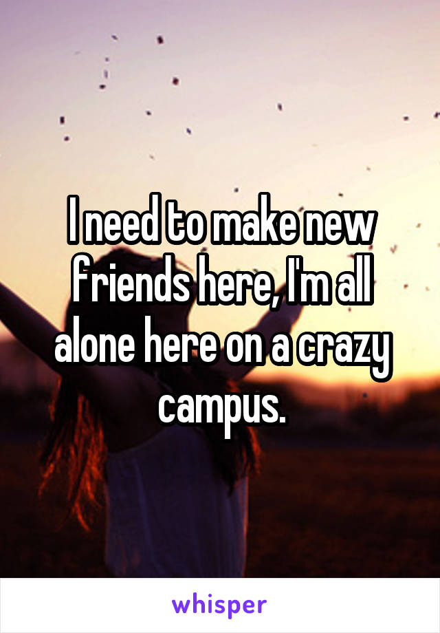 I need to make new friends here, I'm all alone here on a crazy campus.