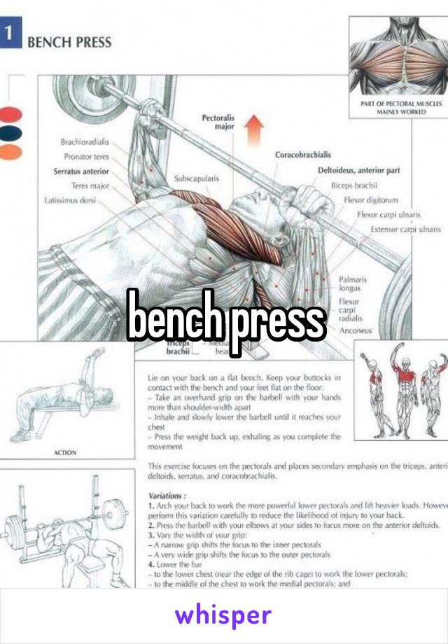 bench press