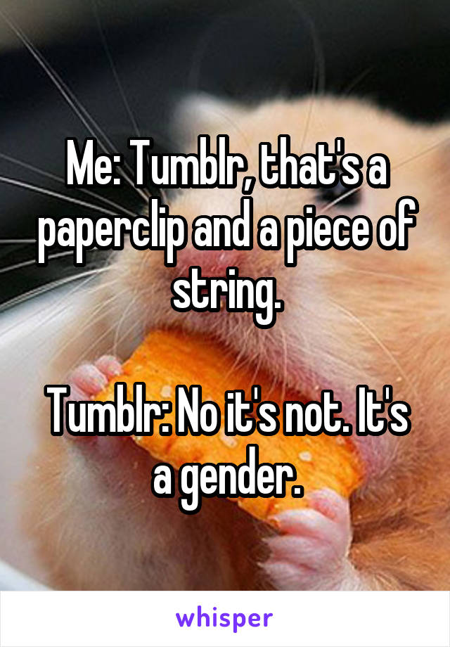 Me: Tumblr, that's a paperclip and a piece of string.

Tumblr: No it's not. It's a gender.