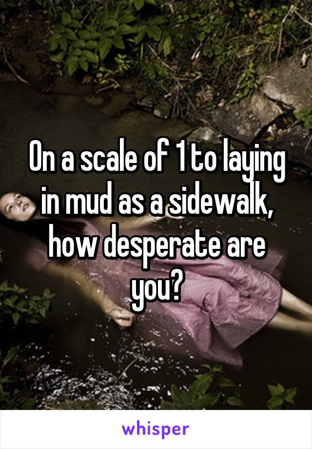 On a scale of 1 to laying in mud as a sidewalk, how desperate are you?