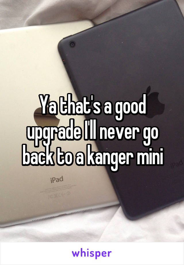 Ya that's a good upgrade I'll never go back to a kanger mini