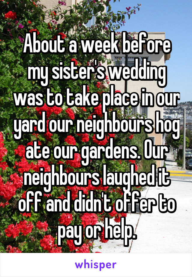 About a week before my sister's wedding was to take place in our yard our neighbours hog ate our gardens. Our neighbours laughed it off and didn't offer to pay or help.