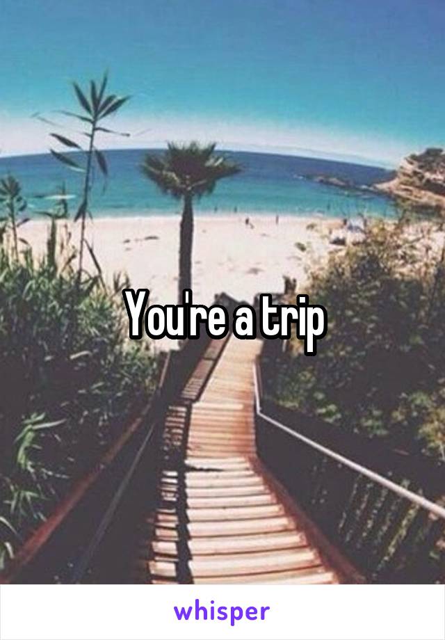 You're a trip