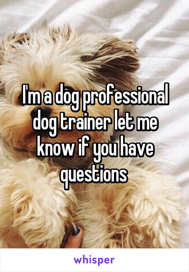 I'm a dog professional dog trainer let me know if you have questions 