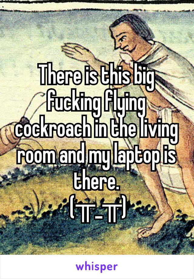 There is this big fucking flying cockroach in the living room and my laptop is there.
 (╥_╥)