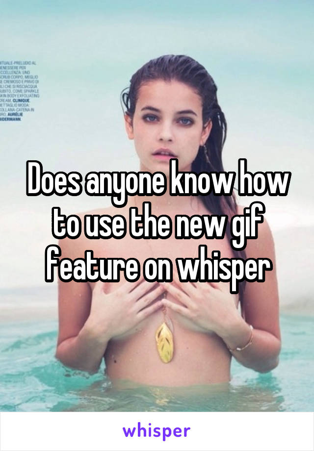 Does anyone know how to use the new gif feature on whisper