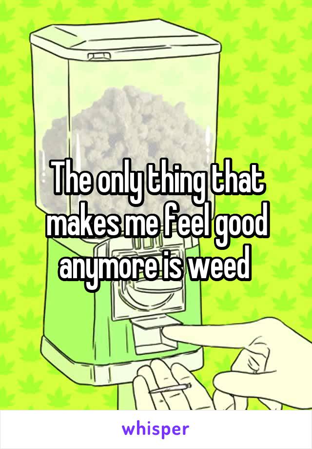 The only thing that makes me feel good anymore is weed 