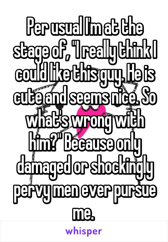 Per usual I'm at the stage of, "I really think I could like this guy. He is cute and seems nice. So what's wrong with him?" Because only damaged or shockingly pervy men ever pursue me. 