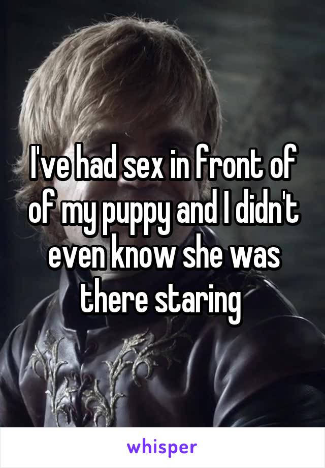 I've had sex in front of of my puppy and I didn't even know she was there staring 