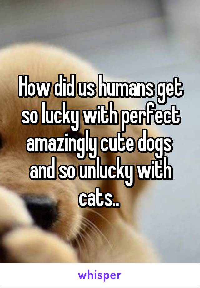 How did us humans get so lucky with perfect amazingly cute dogs  and so unlucky with cats.. 