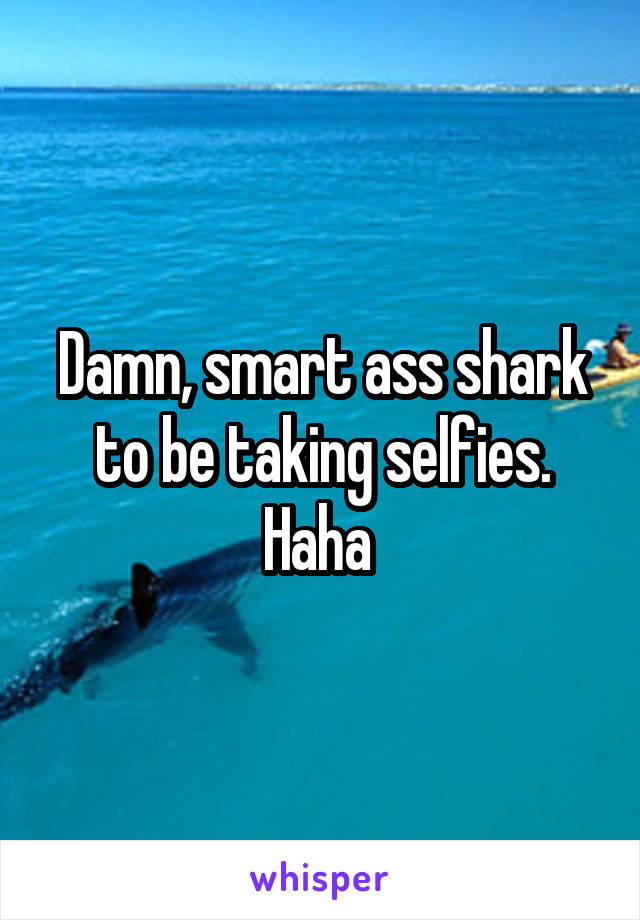 Damn, smart ass shark to be taking selfies. Haha 