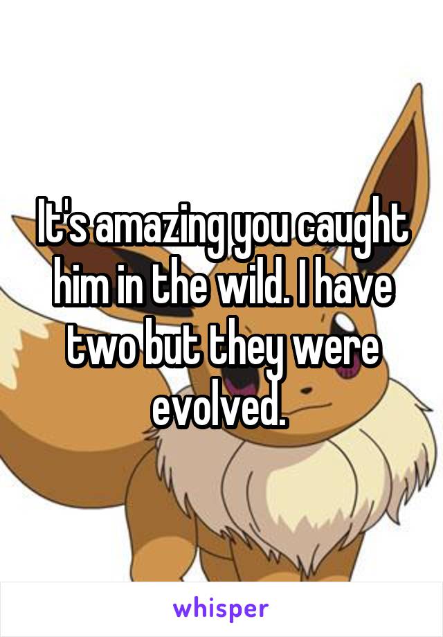 It's amazing you caught him in the wild. I have two but they were evolved. 