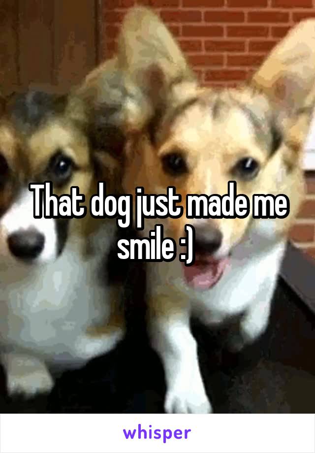 That dog just made me smile :) 