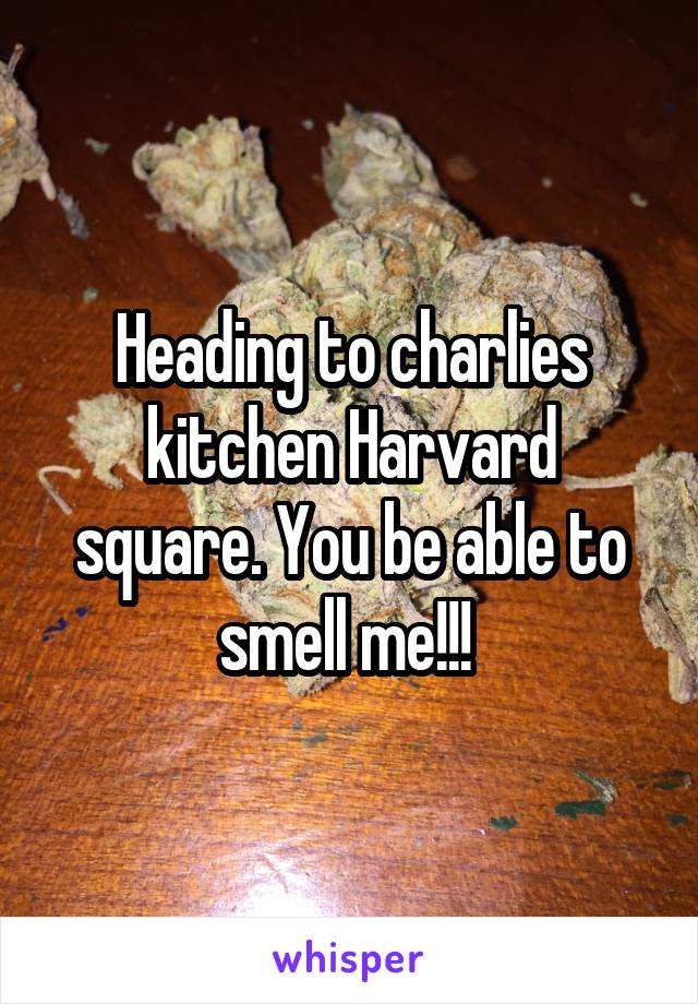 Heading to charlies kitchen Harvard square. You be able to smell me!!! 