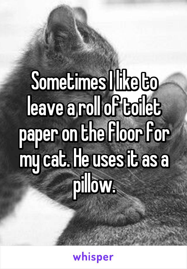 Sometimes I like to leave a roll of toilet paper on the floor for my cat. He uses it as a pillow.