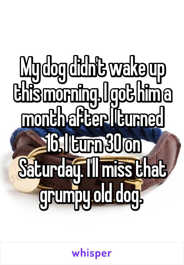 My dog didn't wake up this morning. I got him a month after I turned 16. I turn 30 on Saturday. I'll miss that grumpy old dog. 