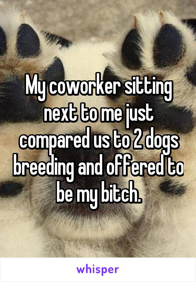 My coworker sitting next to me just compared us to 2 dogs breeding and offered to be my bitch.