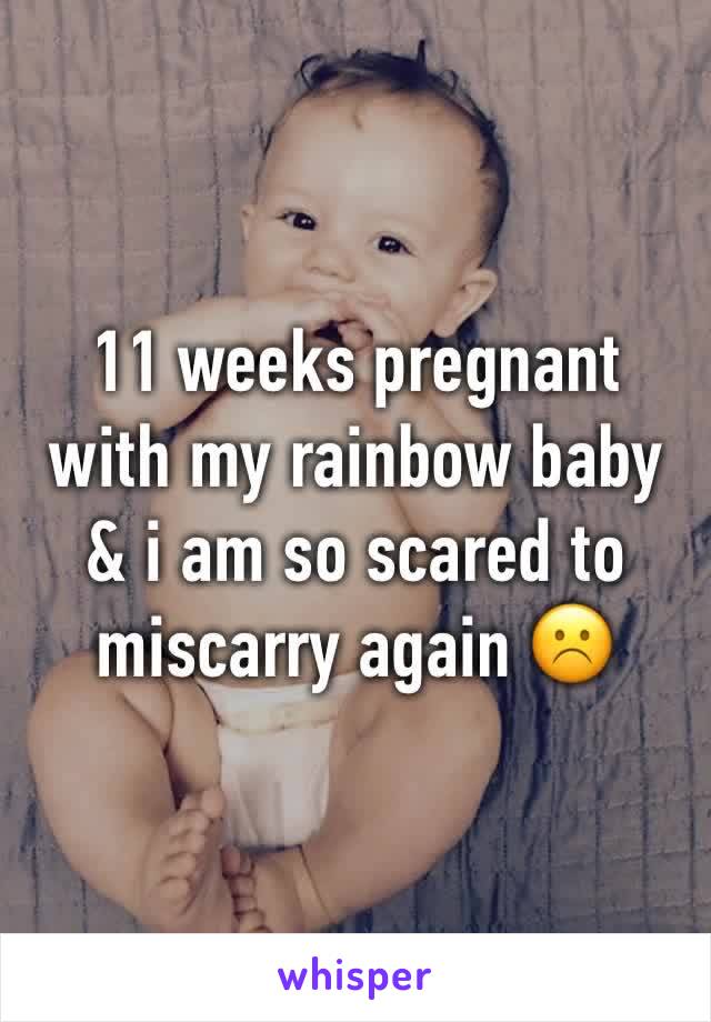 11 weeks pregnant with my rainbow baby & i am so scared to miscarry again ☹️️