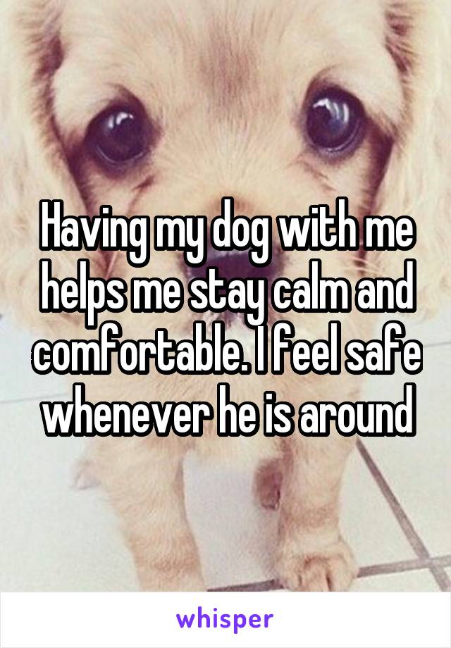 Having my dog with me helps me stay calm and comfortable. I feel safe whenever he is around