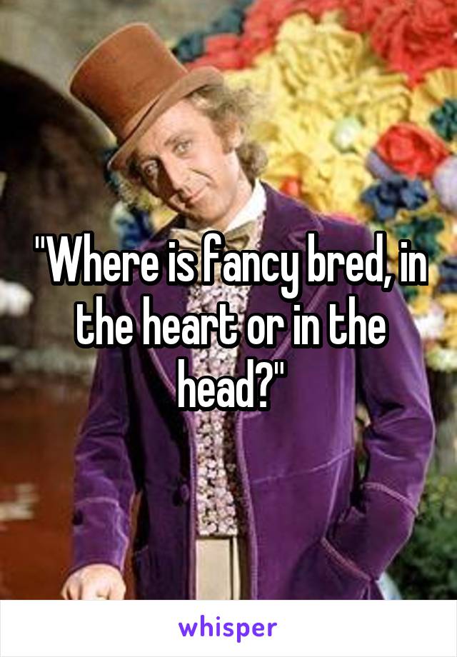 "Where is fancy bred, in the heart or in the head?"