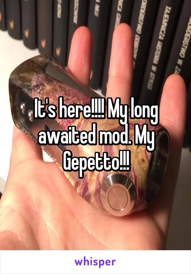 It's here!!!! My long awaited mod. My Gepetto!!!