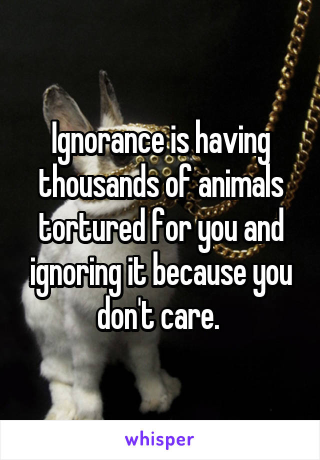 Ignorance is having thousands of animals tortured for you and ignoring it because you don't care. 