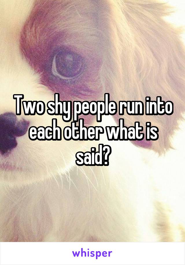 Two shy people run into each other what is said?