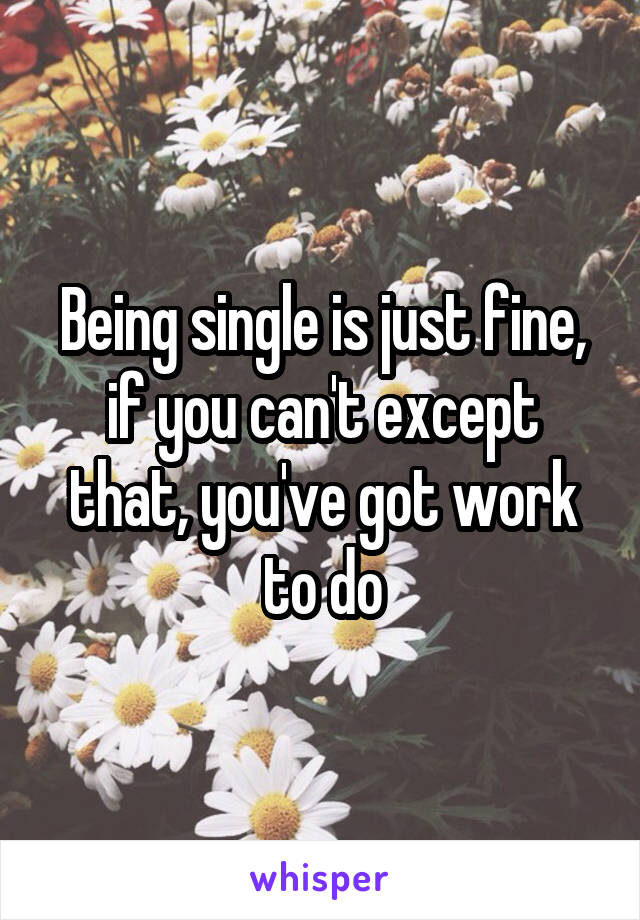 Being single is just fine, if you can't except that, you've got work to do