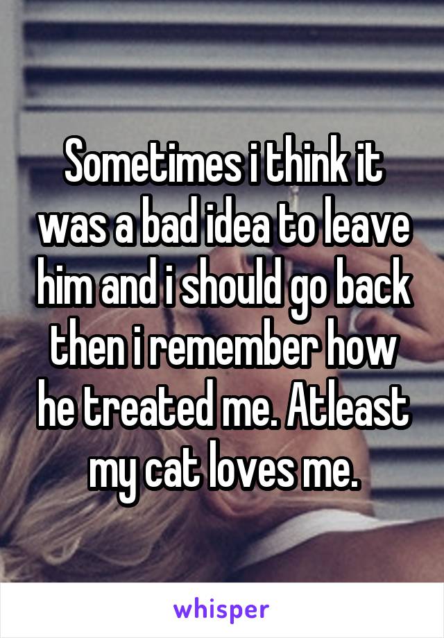 Sometimes i think it was a bad idea to leave him and i should go back then i remember how he treated me. Atleast my cat loves me.