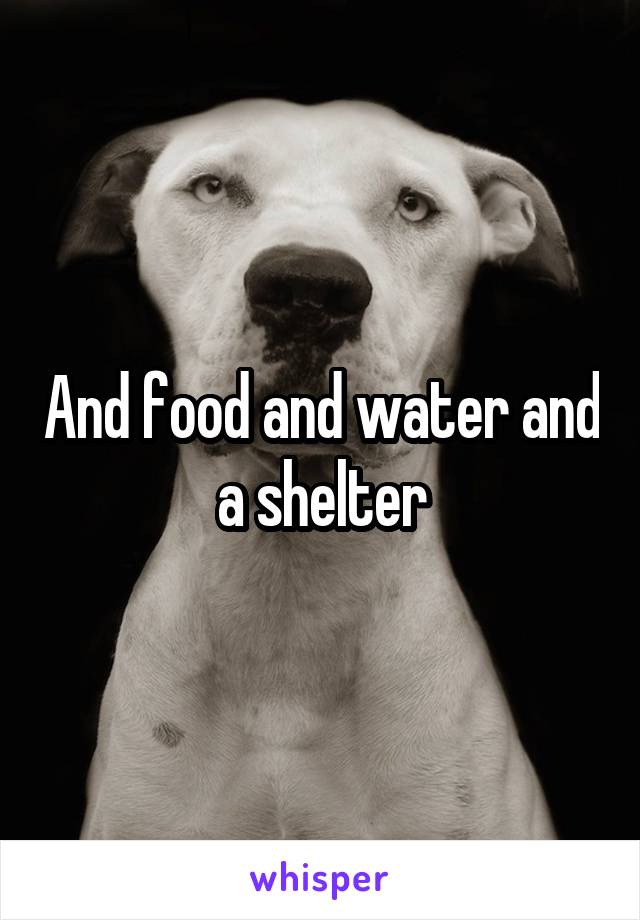 And food and water and a shelter