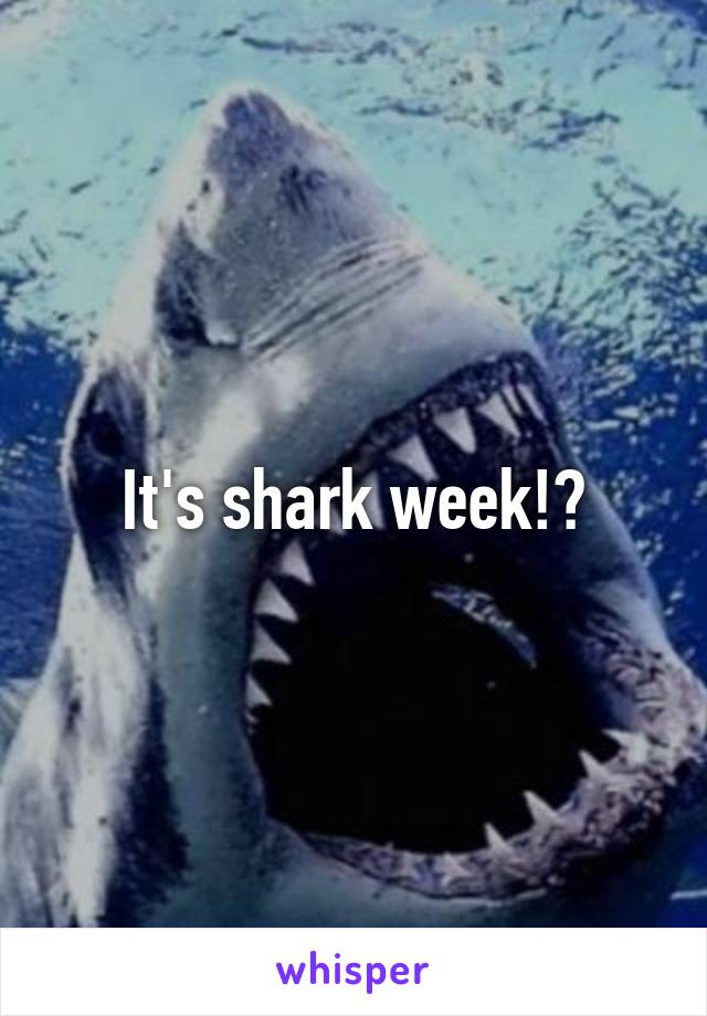 It's shark week!?