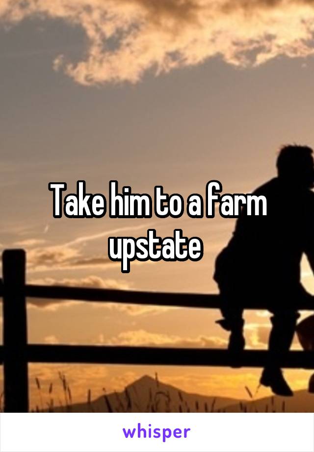 Take him to a farm upstate 