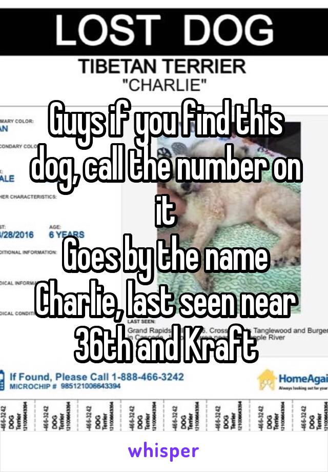 Guys if you find this dog, call the number on it
Goes by the name Charlie, last seen near 36th and Kraft