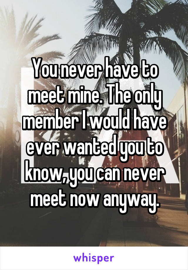 You never have to meet mine. The only member I would have ever wanted you to know, you can never meet now anyway.