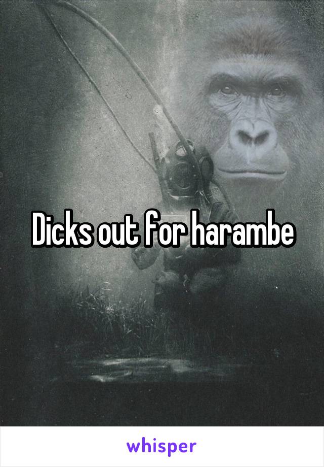 Dicks out for harambe