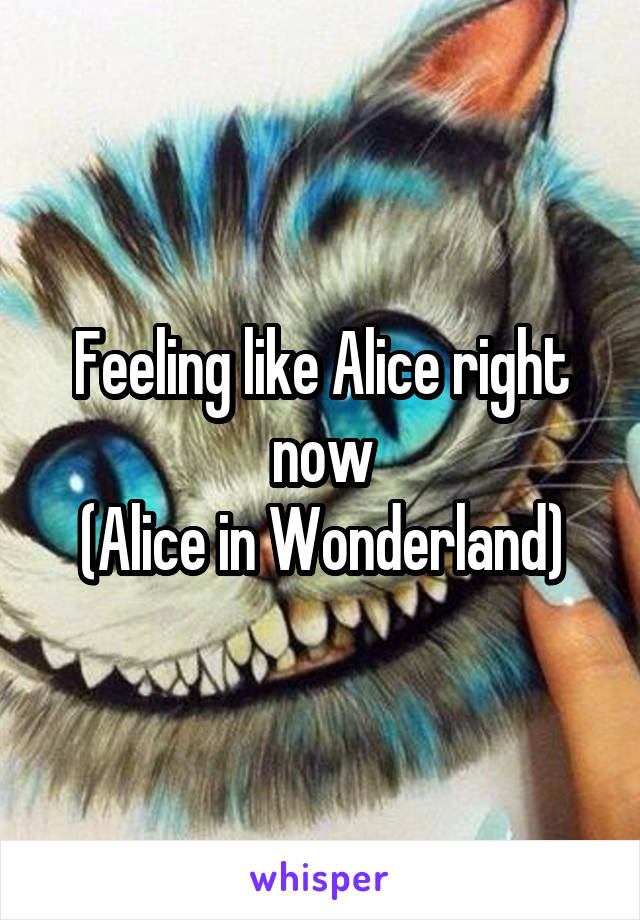 Feeling like Alice right now
(Alice in Wonderland)