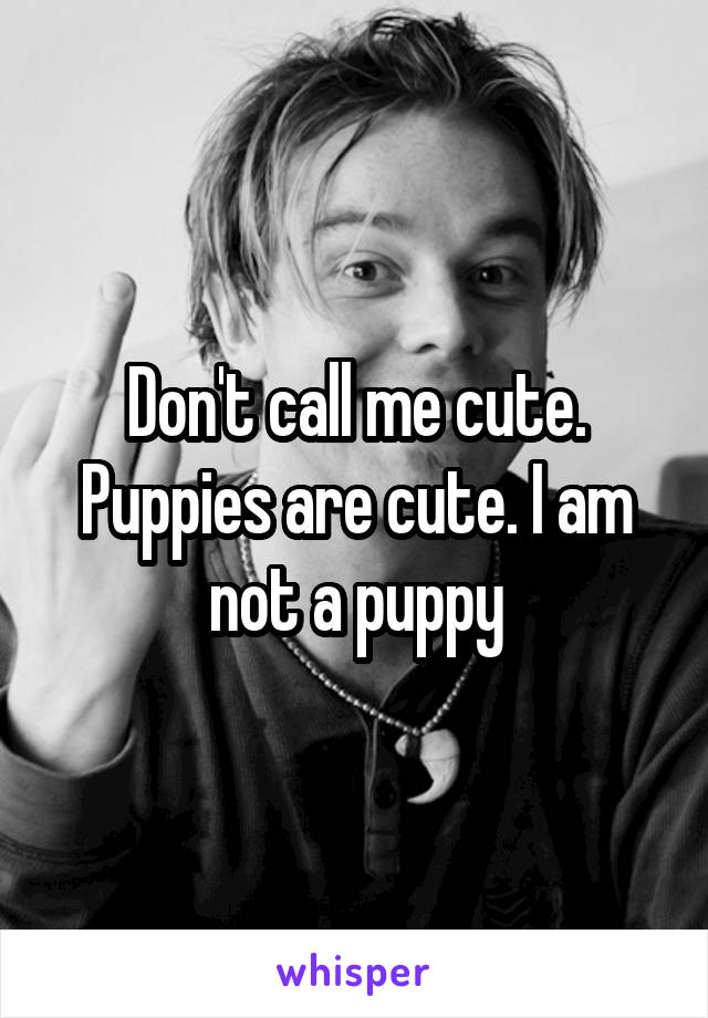 Don't call me cute. Puppies are cute. I am not a puppy