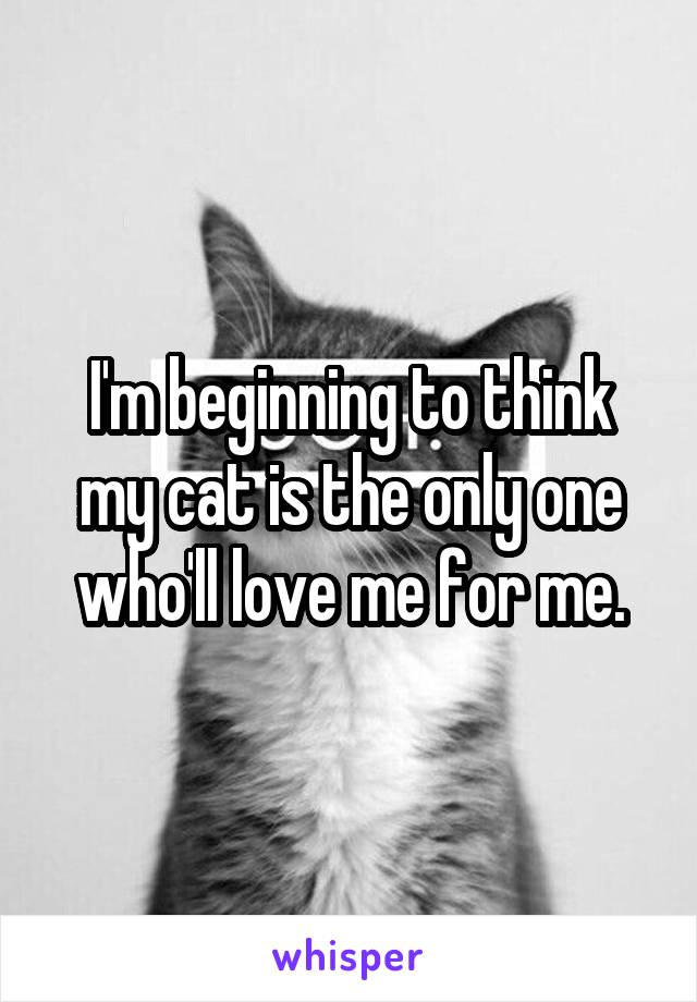 I'm beginning to think my cat is the only one who'll love me for me.