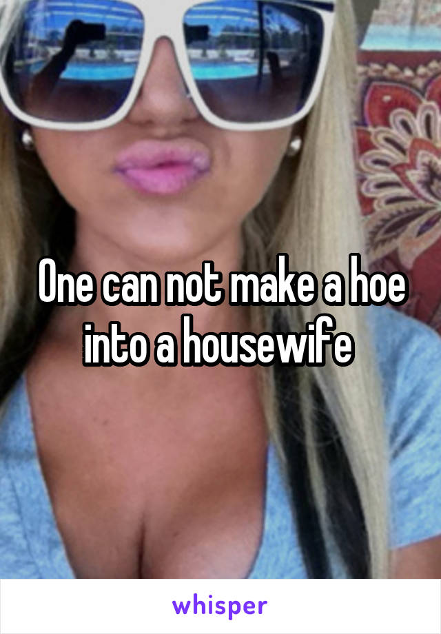 One can not make a hoe into a housewife 