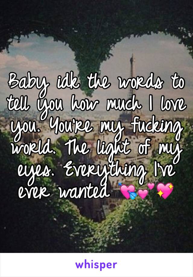 Baby idk the words to tell you how much I love you. You're my fucking world. The light of my eyes. Everything I've ever wanted 💘💕💖